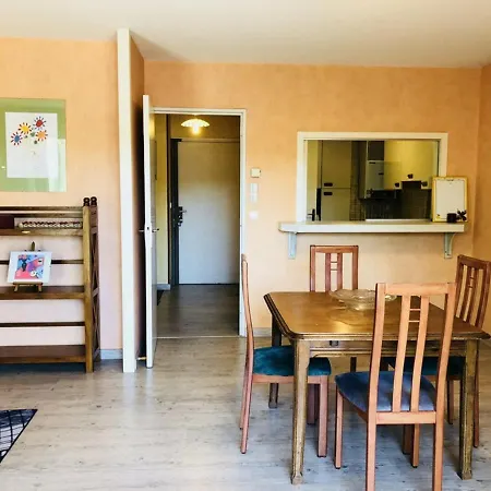 Apartment T2 A Avec Balcon, Parking Securise, Proche Gare Sncf Et Commerces - Fr-1-433-32 Arcachon
